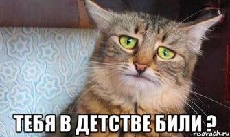 Гениальные ответы детей на контрольных работах