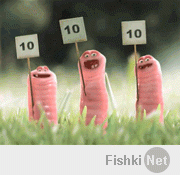 Фура без тормозов