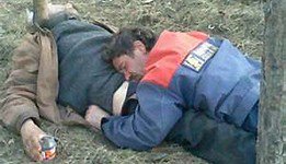 Спящие зверушки, от вида которых у вас растает сердце