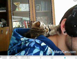 и моё чудо кусючее)