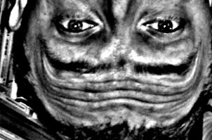 Перевернутые портреты