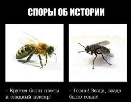 своим высказыванием напомнил демотиватор "споры об истории"