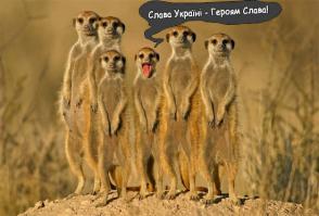  Выпускной в Крыму