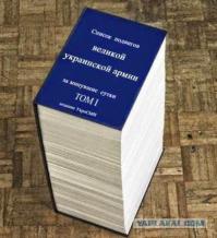 День Независимости. Подводим итоги. Анатолий Шарий