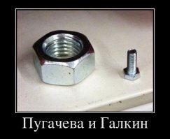 Знаменитые женщины и их незвездные мужья