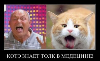 Малахов.Начало