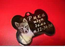 Владельцы животных, не забывайте вешать на ошейник такую мелочь, как АДРЕСНИК. Эта мелочь может спасти жизнь вашему любимцу, а стоит она от 15 рублей. Сколько видел животных, в ошейниках, ухоженные, социальные. А помочь никак не возможно. Ну не известно где искать хозяина и все тут.

P.S. Брать на передержку не могу. Дома два подобранных кобеля. Очень грустно проходить мимо потеряшек.