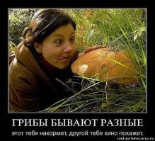 Первый поход за грибами - 2014