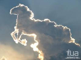 Необычное и удивительное!