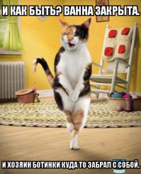 Фотоподборка за 12.09.2014