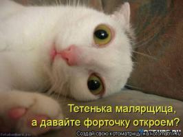  Картинки со смешными подписями