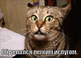 Mortal Kombat в лифте. Розыгрыш