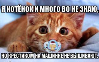 Свадебные фотобомбы