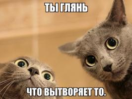 Свадебные фотобомбы