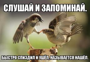 Потому что жизнь - боль