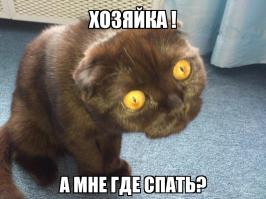 Самые удивительные и необычные кровати   