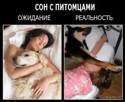 Ожидание и реальность