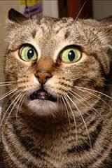 Когда я отправил комментарий и потом вдруг заметил в слове ошибку.