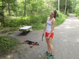 Это как же нужно бегать, что собакен аж уснуть успел?