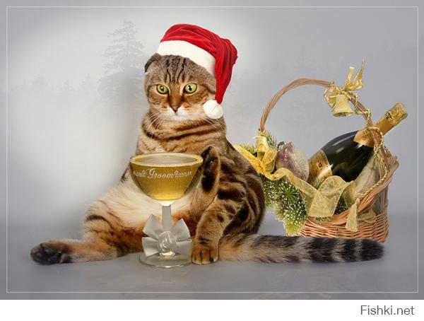 Шампанское увы не для котов
Под ёлку валерьянки положите
Да и бокал не для кошачьих ртов
Накапайте или хоть пробочку снимите.