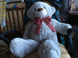 Автар, а нам ДедМороз принес серого брата вашего медведя, видимо он проиграл в конкурсе на самого белого и пушистого))))