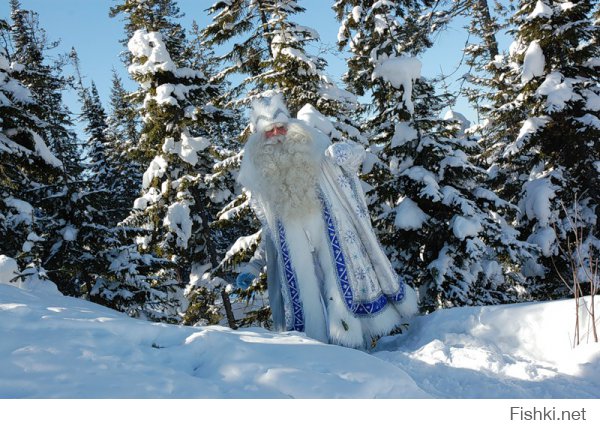 вот настоящий советский Дедушка Мороз.
а не навязанный китайским ширпотребом костюм СантаКлауса пошитый для Пендосии.