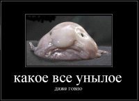 Русские сказки на новый лад: фотографии с подвохом