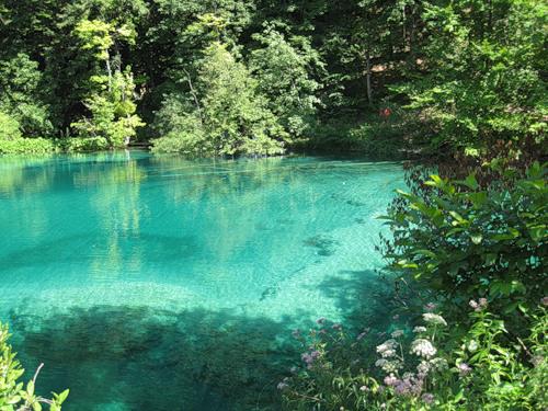 Заповедник Плитвицкие озера, Хорватия. Там правда с аквалангом спускаться нельзя, но прозрачность тоже на уровне.