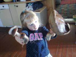 Неделю назад на даче, дочка прямо у калитки срезала грибочек - 800 грамм