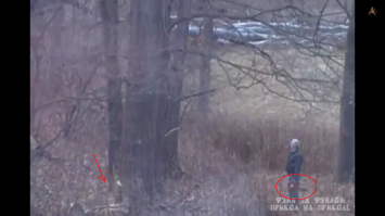 Судя по опилкам под деревом и бензопиле в руках, не только взглядом.