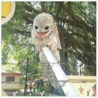 На насекомых он охотится?
Мне кажется эта тварь ночью похищает людей и утаскивает к себе на летающую тарелку для опытов