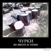 A кто он " Чингис хан Тамерлан Атилла", сказка которую придумал советский академик? И не тебе чюрка стегаться с дальневосточным народам.