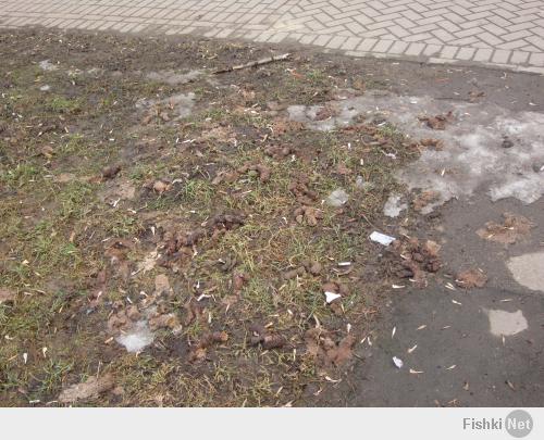 да,согласен.вот сегодня сфоткал во дворе нашего дома  все засрали