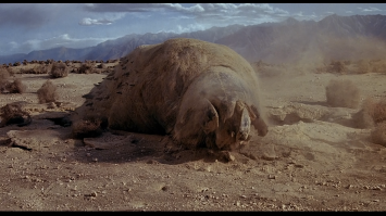 Гигантский червь-гробойд,обитает в засушливых пустынях Аризоны,под землей.Хищник,питается всем,что попадается на пути.Слеп,не имеет глаз,ориентируется исключительно на звук.Длина тела может достигать 35 метров,вес до 15 тонн.