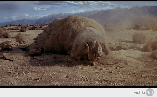 Гигантский червь-гробойд,обитает в засушливых пустынях Аризоны,под землей.Хищник,питается всем,что попадается на пути.Слеп,не имеет глаз,ориентируется исключительно на звук.Длина тела может достигать 35 метров,вес до 15 тонн.