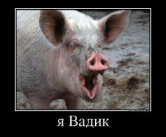 Свинья