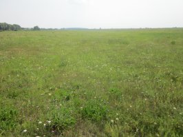 А вот вид из окна в деревне