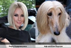 Собаки похожие на кого-то другого 