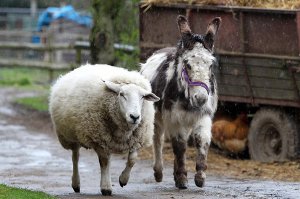 Поймал встречника!