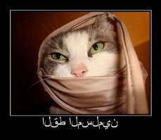 30 знаков, что ваш кот, возможно, планирует ваше убийство