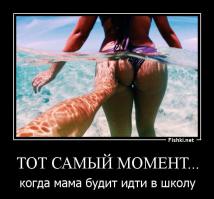 Забавные пляжные фотографии