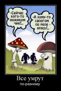 Грибное место 