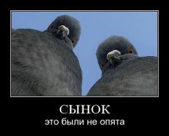 Грибное место 