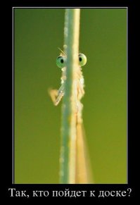 Дети, которые «отлично» умеют играть в прятки 