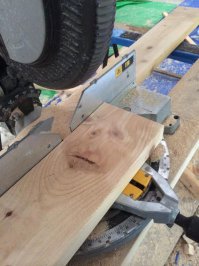 Женщина, в течение 14 лет фотографировала старые деревья со всего мира