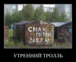 Вежливость