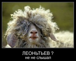 17 красивых причесок для кудрявых волос