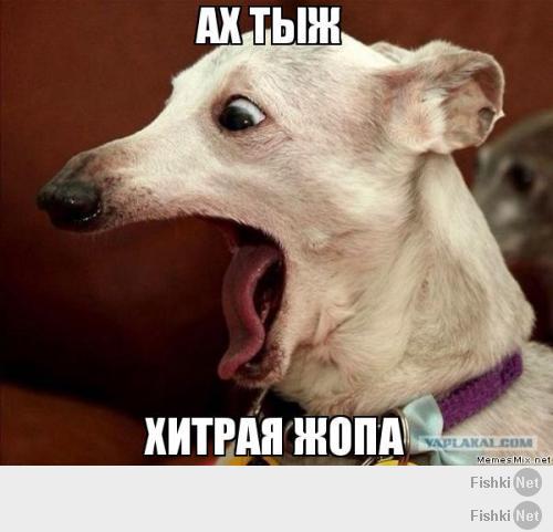 Находчивый паренёк