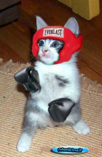 Моя школа!!!