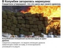 Она только что оттуда и её тоже очень улыбнуло